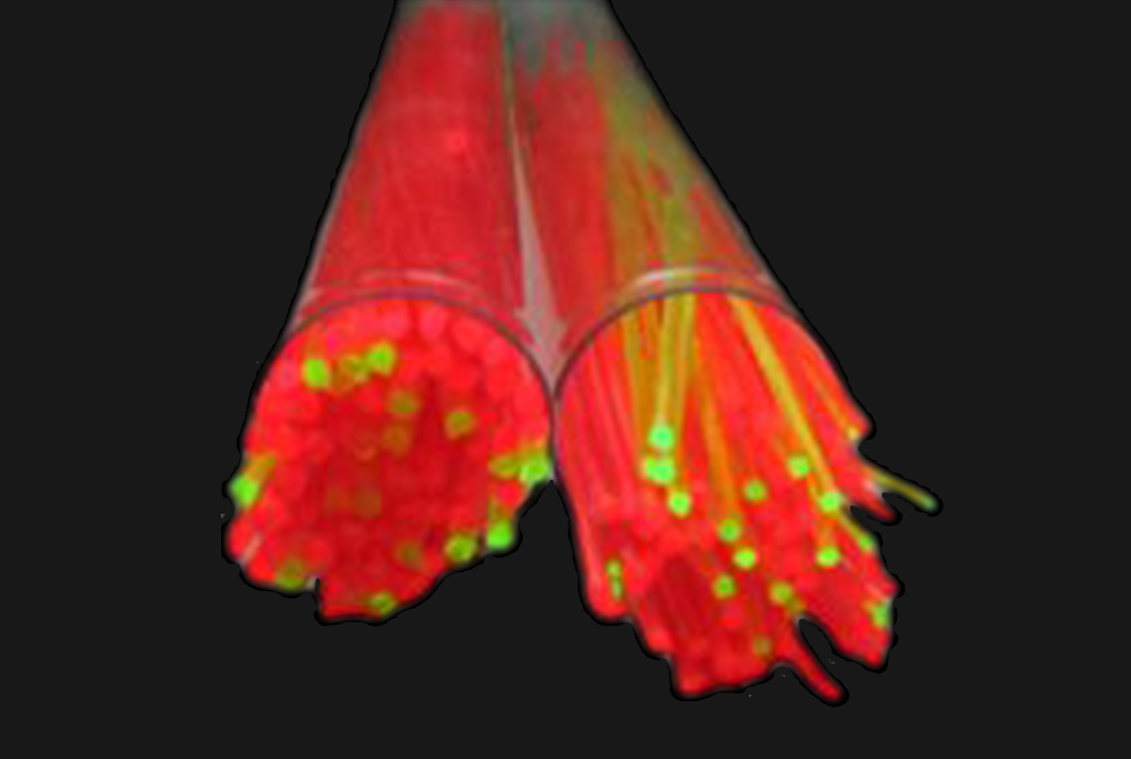 optiki ina1.0mm